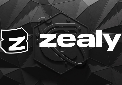 🚀 ZEALY Partnership 🚀